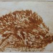 NIEUW  Egel  Droge naald  8x11,5  druk 2/8