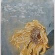 NIEUW  Zonnebloem  lijnets+aquatint  20x25  druk 4/8