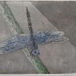 NIEUW Libelle  lijnets + aquatint  20x25  druk 5/8