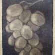 NIEUW  Druiven  mezzotint  9x15,5  druk 5/8