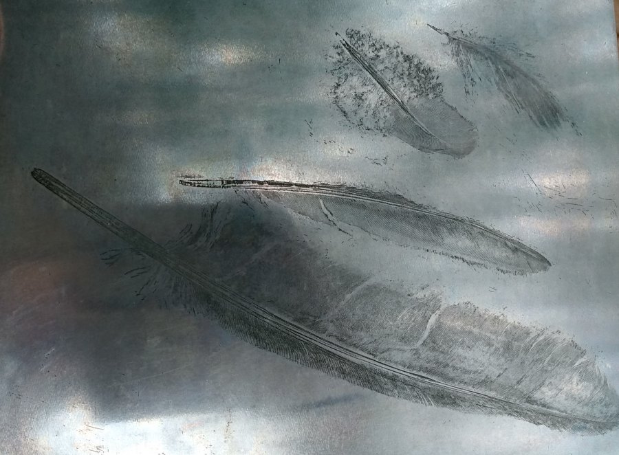 plaat met vernis mou afbeelding